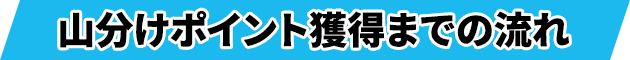 山分けポイント獲得までの流れ