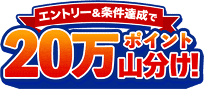 エントリー＆条件達成で20万ポイント山分け！